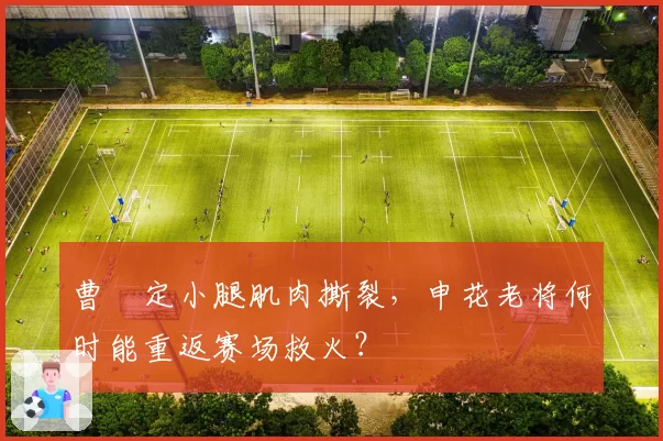 曹赟定小腿肌肉撕裂,申花老将何时能重返赛场救火?