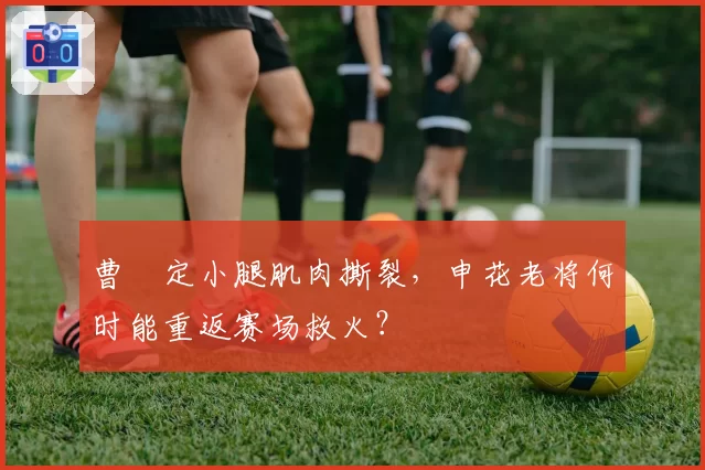 曹赟定小腿肌肉撕裂,申花老将何时能重返赛场救火?