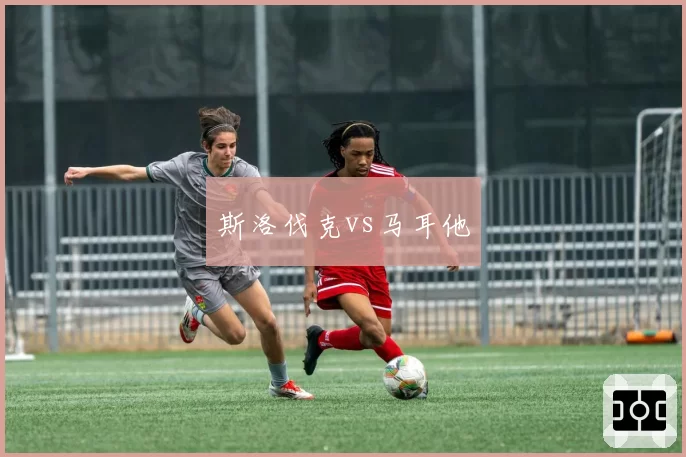 斯洛伐克vs马耳他